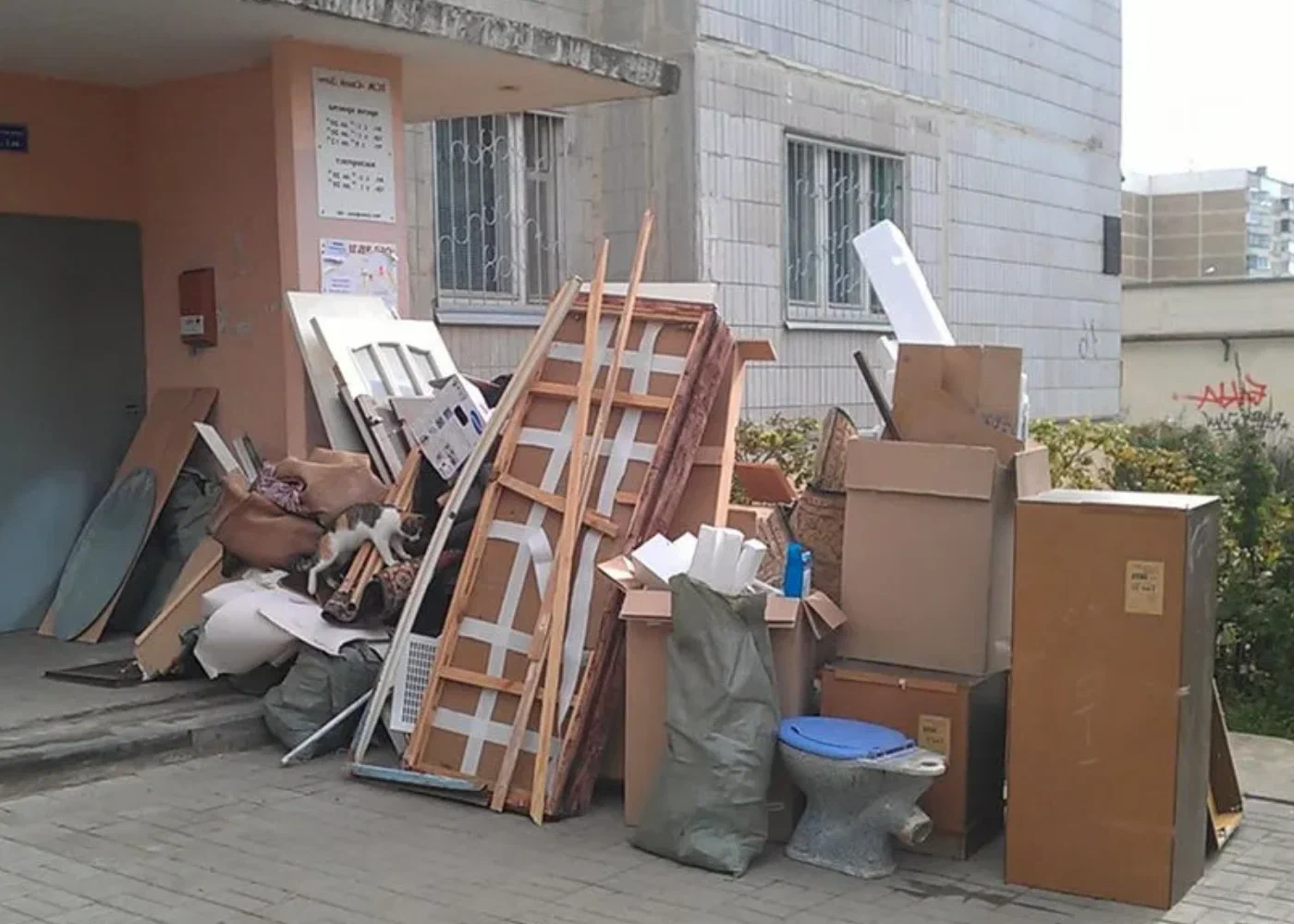 Профессиональный вывоз мусора из квартиры в Архангельске в октябре