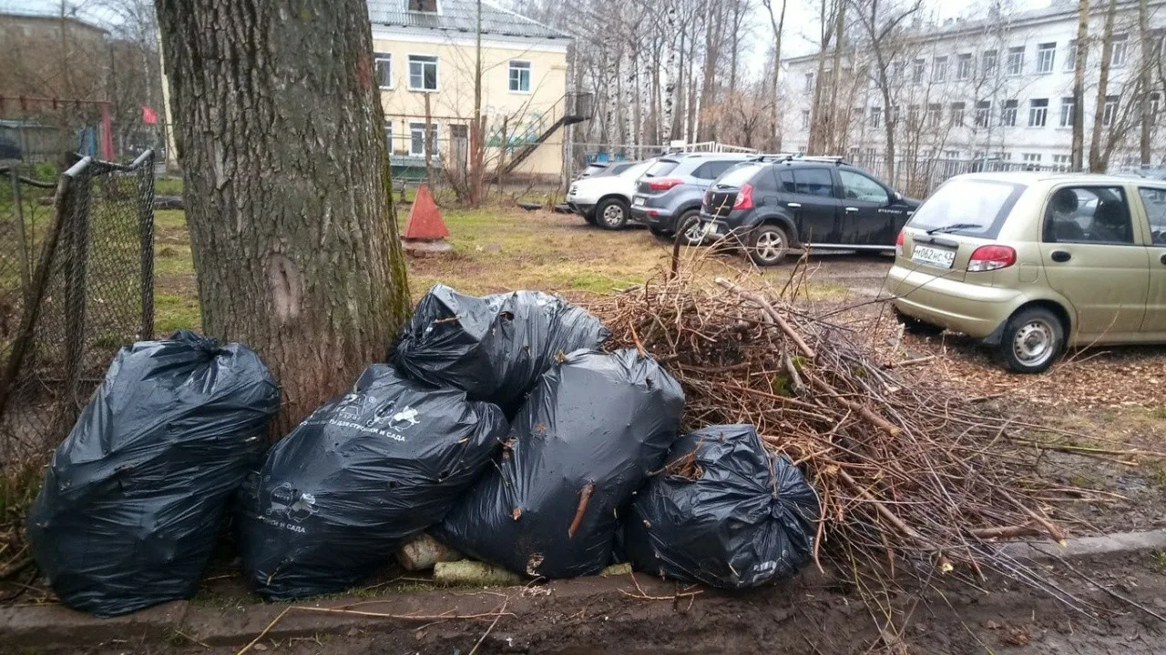 Вывоз мусора после субботника в Архангельске от ПроМусор – уборка и утилизация отходов от 2416 руб
