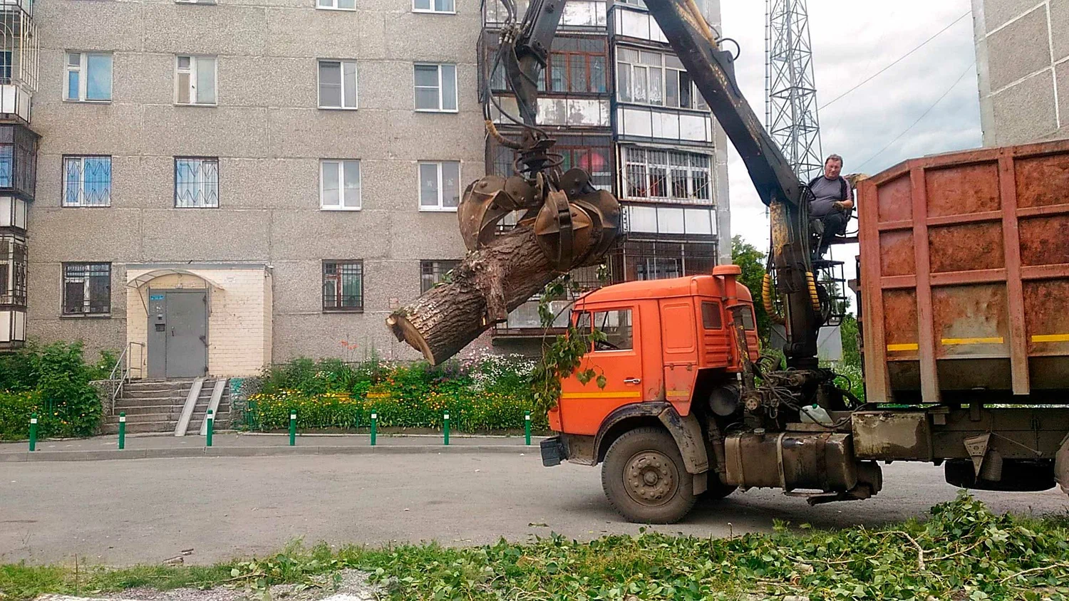 Вывоз спиленных веток и деревьев в Архангельске от ПроМусор: порубочные остатки, утилизация, цена от 2981 руб