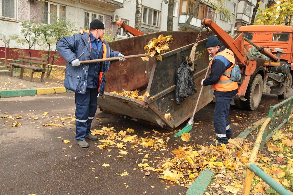 Вывоз опавшей листвы и растительного мусора в Архангельске от ПроМусор – цена от 4626 руб., быстрая уборка и утилизация